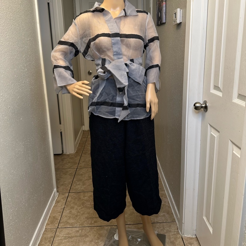 Jarbo belted organza blouse silver stripe Sz 1 NWT Retail: $ 438 - Picture 2 of 15